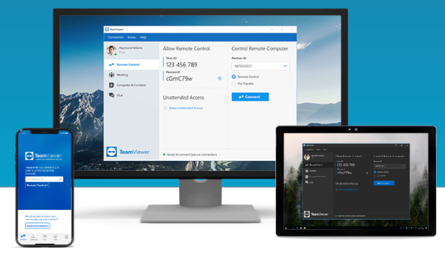 teamviewer license