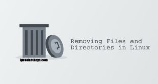 Remove Files and Directories Linux