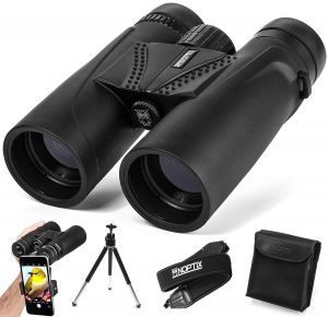 The Best Compact Binoculars Reviews & Guides 2021