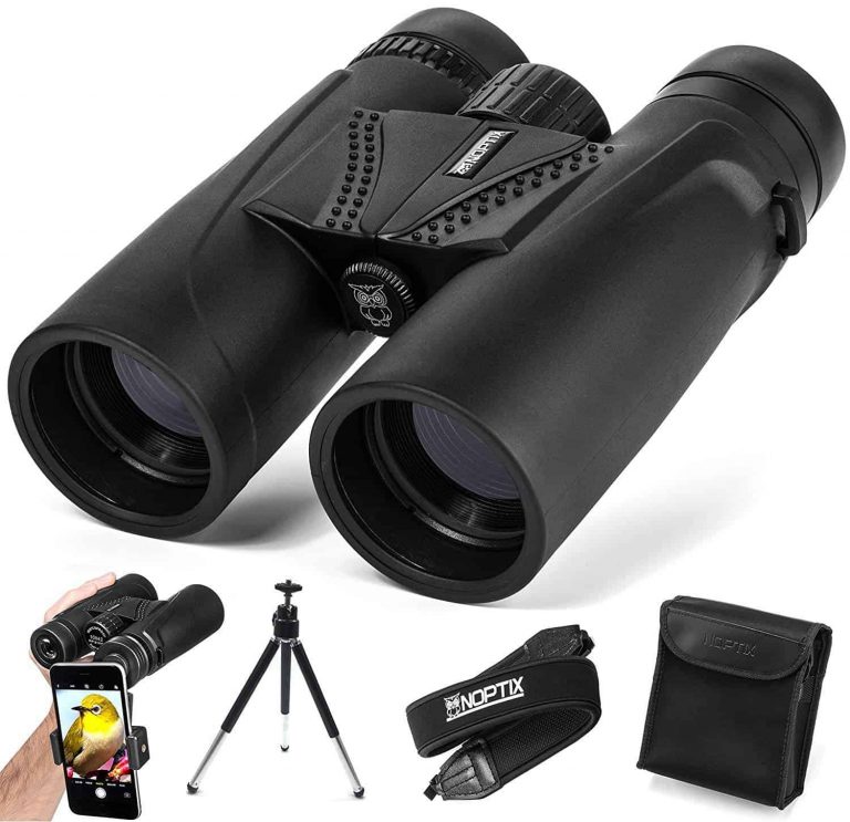 The Top 7 Best Compact Binoculars Buyer’s Guide Reviews