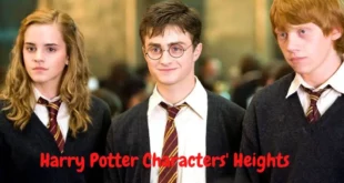 Harry Potter Characters’ Heights