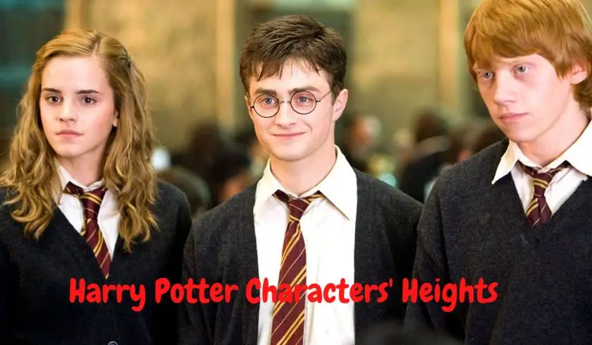 Harry Potter Characters’ Heights