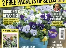 Amateur Gardening – 29 November 2025 | Download Magazine PDF