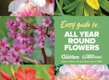 Amateur Gardening Easy Guide To – All Year Round Flowers 2025 ⬇️ Download Magazine PDF 📚