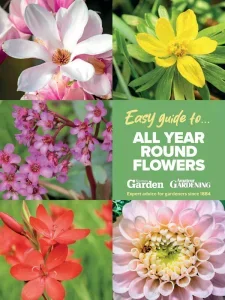 Amateur Gardening Easy Guide To – All Year Round Flowers 2025 ⬇️ Download Magazine PDF 📚