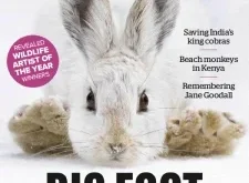 BBC Wildlife Magazine – December 2025 ⬇️ Download Magazine PDF 📚