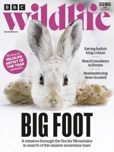 BBC Wildlife Magazine β December 2025 β¬οΈ Download Magazine PDF π