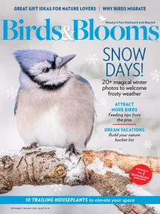 Birds & Blooms – December 2025 / January 2026 | Download Magazine PDF