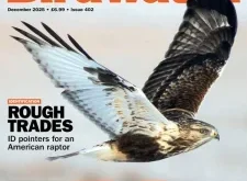 Birdwatch UK – December 2025 | Download Magazine PDF