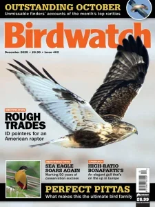 Birdwatch UK – December 2025 | Download Magazine PDF