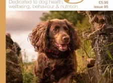 Edition Dog – Issue 85 2025 ⬇️ Download Magazine PDF 📚