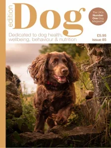 Edition Dog – Issue 85 2025 ⬇️ Download Magazine PDF 📚