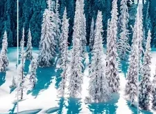 Golden Ride Magazine – Issue 72, Winter 2025 | Download Magazine PDF