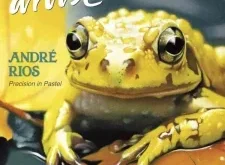 International Artist – December 2025 / January 2026 | Download Magazine PDF