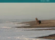 NZ CameraTalk – October 2025 ⬇️ Download Magazine PDF 📚