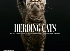 Science Magazine – November 27, 2025 | Download Magazine PDF