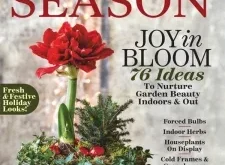 The Cottage Journal – Extend The Season 2025 ⬇️ Download Magazine PDF 📚