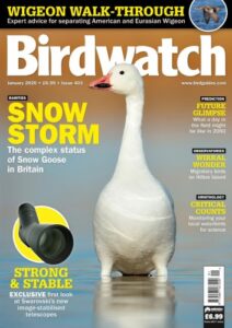 Birdwatch UK – Issue 403, January 2026