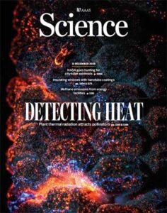 Science – Issue 6778, Volume 390, December 11, 2025