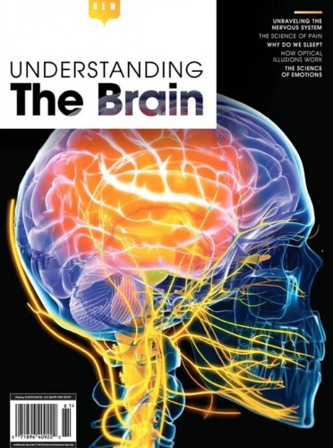 Understanding – The Brain, 2025