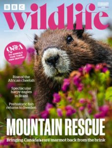 BBC Wildlife Magazine – Vol. 44 Issue 02, February 2026