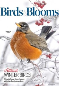 Birds and Blooms Extra – Winter 2026
