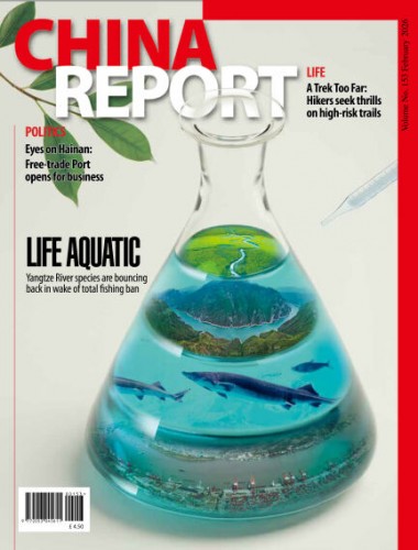 China Report – February 2026