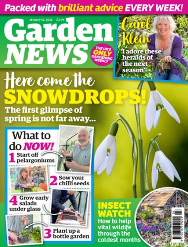 Garden News – 13 January 2026