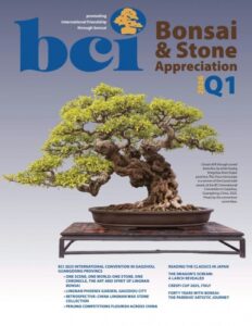 BCI Bonsai & Stone Appreciation Magazine – Q1, 2026