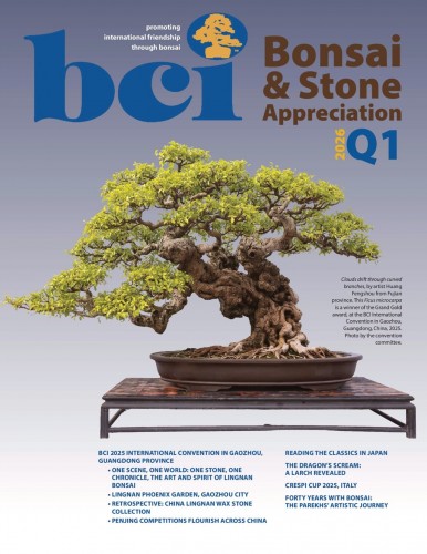 BCI Bonsai & Stone Appreciation Magazine – Q1, 2026