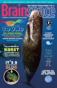 Brainspace – February/March 2026