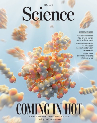 Science – Issue 6786, Volume 391, February 12, 2026