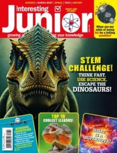 Very Interesting Junior – Issue 68, November 2025