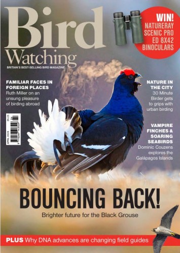 Bird Watching UK – April 2026