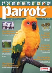 Parrots Magazine – March 2026