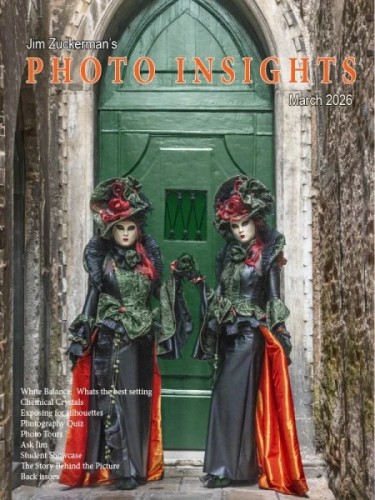 Photo Insights – March 2026