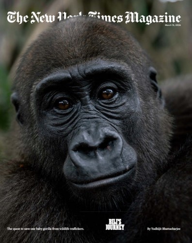 The New York Times Magazine – March 15, 2026