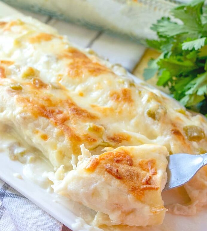 chicken enchilada recipe