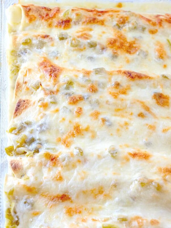 chicken enchilada recipe