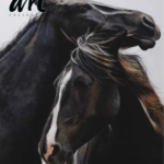 American Art Collector – Issue 247, May 2026