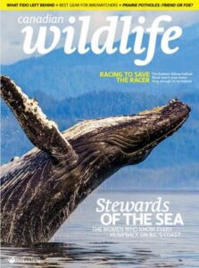 Canadian Wildlife – Vol 32 No 2, May/June 2026