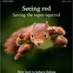 Country Life UK – 22 April 2026