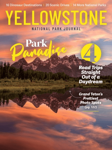 National Park Journal – Yellowstone 2026