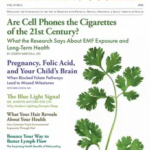 Well Being Journal – Vol. 35 No. 02, 2026