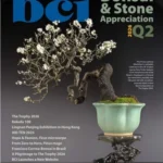 BCI Bonsai & Stone Appreciation Magazine – Q2 2026
