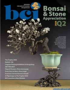 BCI Bonsai & Stone Appreciation Magazine – Q2 2026