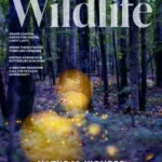 National Wildlife – Summer 2026