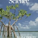 Science – 4 June 2026 – Download PDF