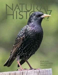 Natural History – July 2026